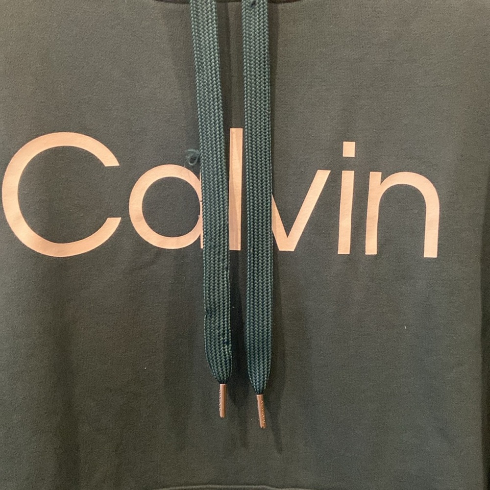 Calvin Klein Teal Hoodie with Fuzzy Sleeves - Picture 2 of 7